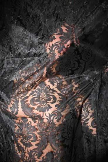 Kim Taylor : back