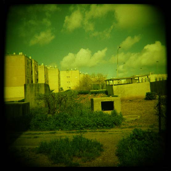 Yaniv Waissa : next page