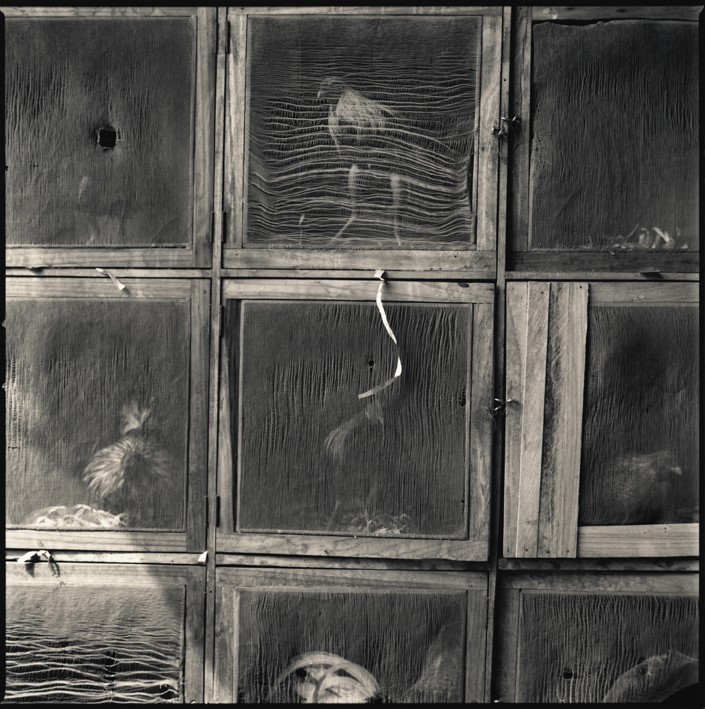 Hiroshi Watanabe : next page