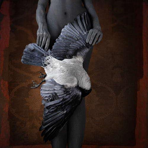 Bogdan Zwir : next page
