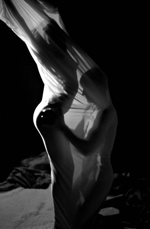 Kim Taylor : back