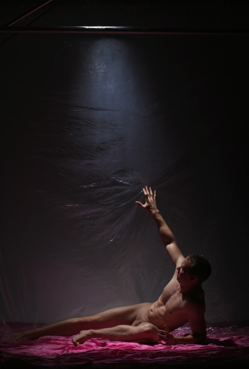 Kim Taylor : next page