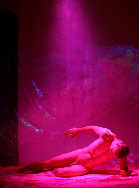 Kim Taylor : next page