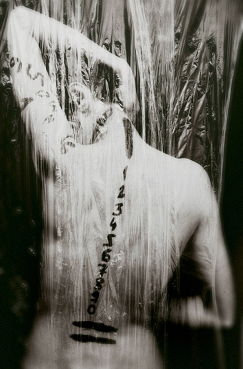 Diana Daia : next page