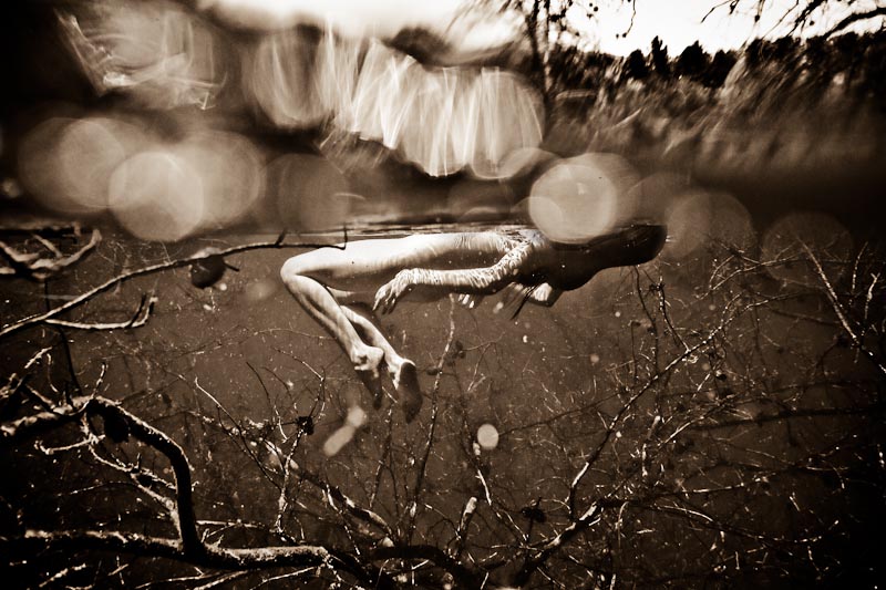Neil Craver : next page