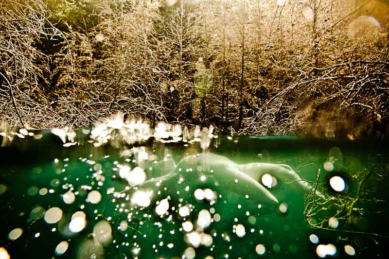 Neil craver : next page