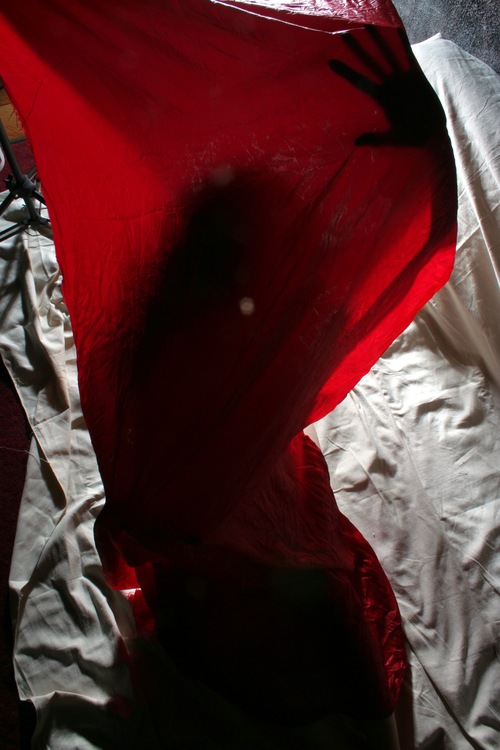 Kim Taylor : back