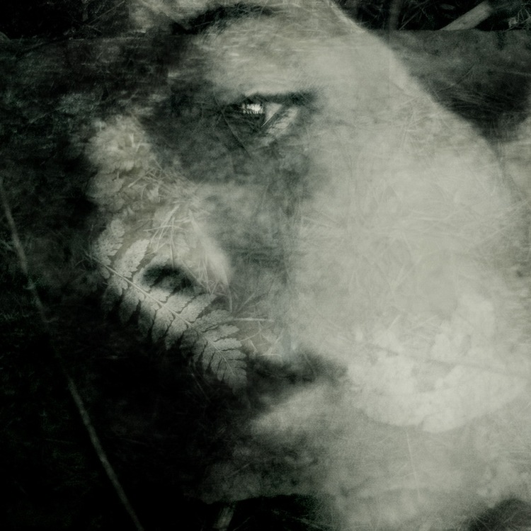 Maria Datsykova : return