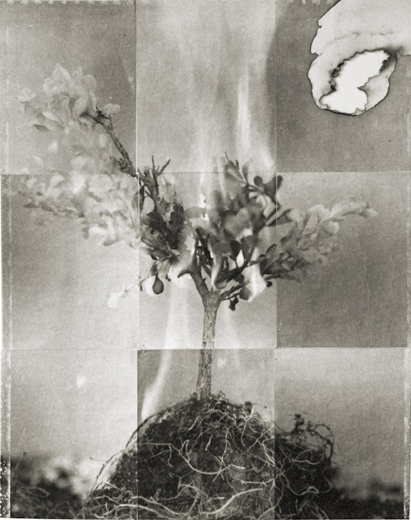 Charles Grogg : next page