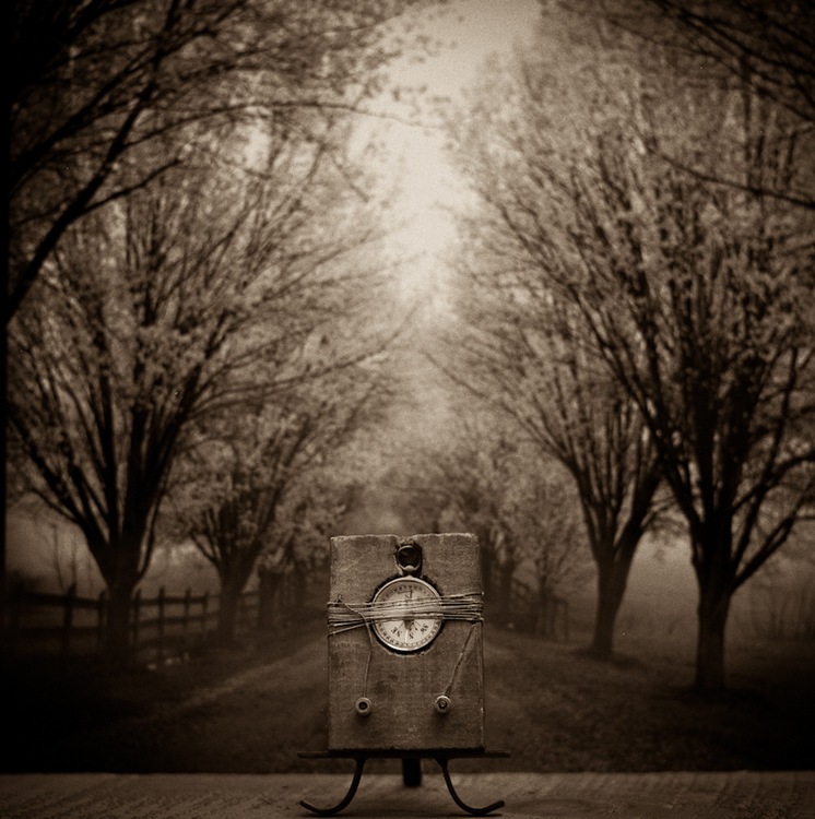 Lori Vrba : next page