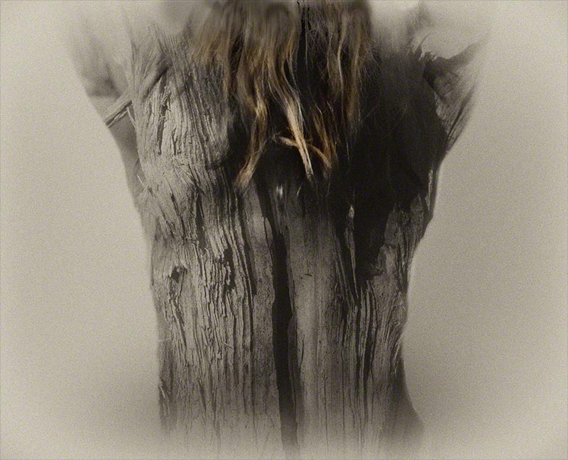 Lori Pond : next page
