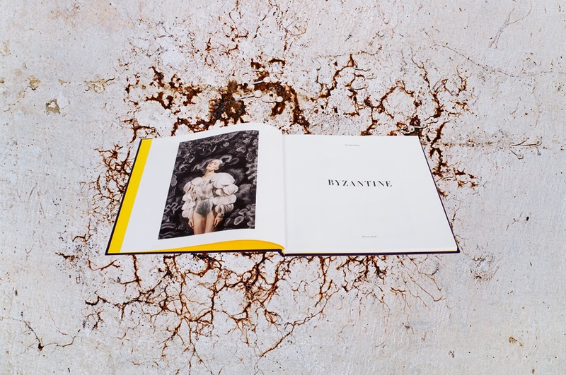 synchrodogs next page