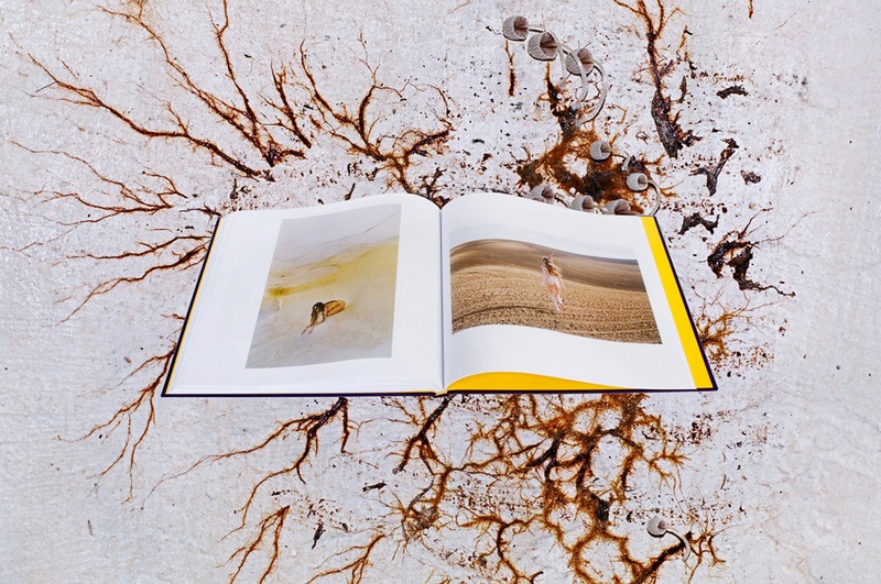 synchrodogs next page