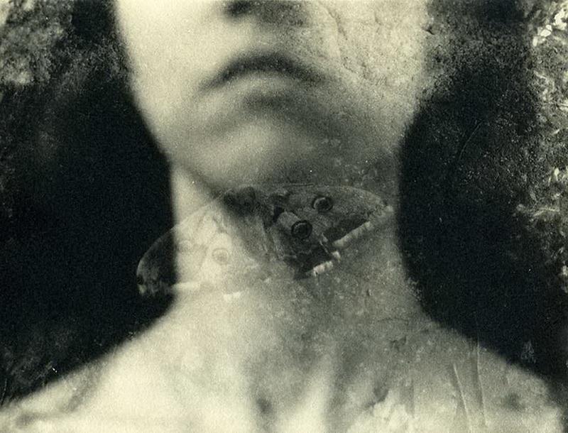 Joanna Pallaris : next page