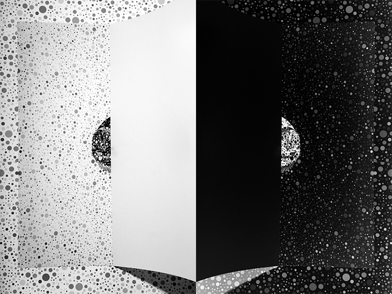 Patricia Voulgaris : next page
