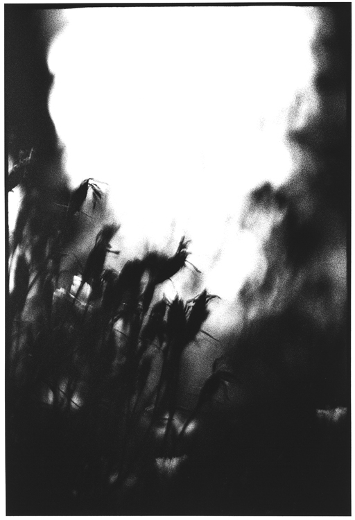 Aram Dikiciyan : next page