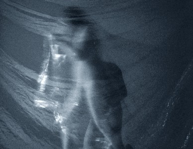 Kim Taylor : still