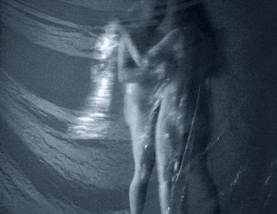 Kim Taylor : still