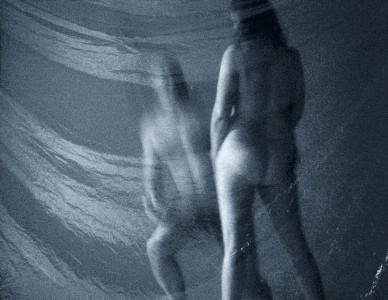 Kim Taylor : still