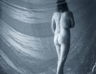 Kim Taylor : still